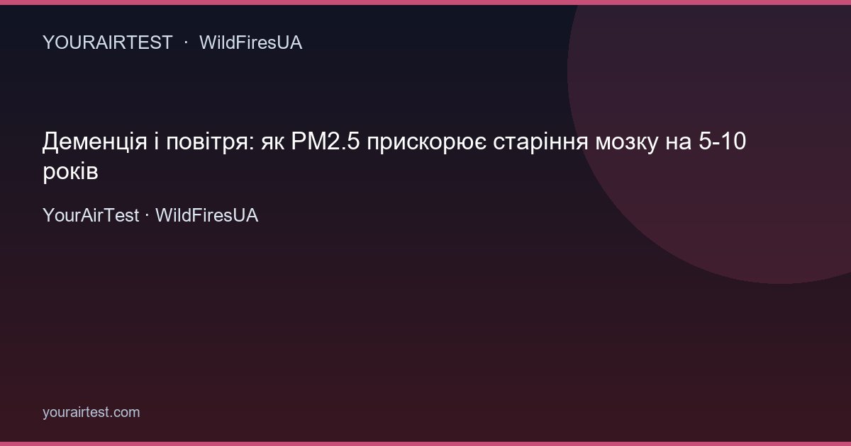 Деменція і повітря: як PM2.5 прискорює старіння мозку на 5-10 років