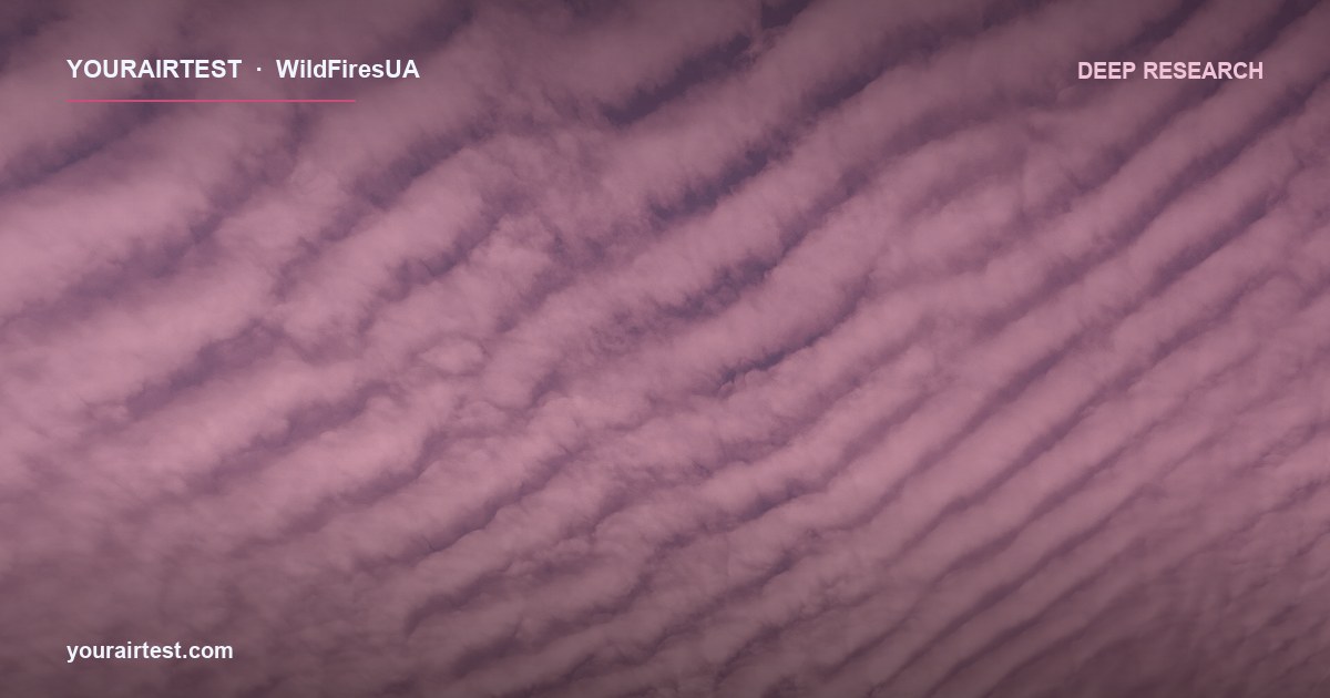 Глобальний тягар лісового диму для здоров’я: GBD 2024, Lancet Planetary Health 2025, регіональні відмінності