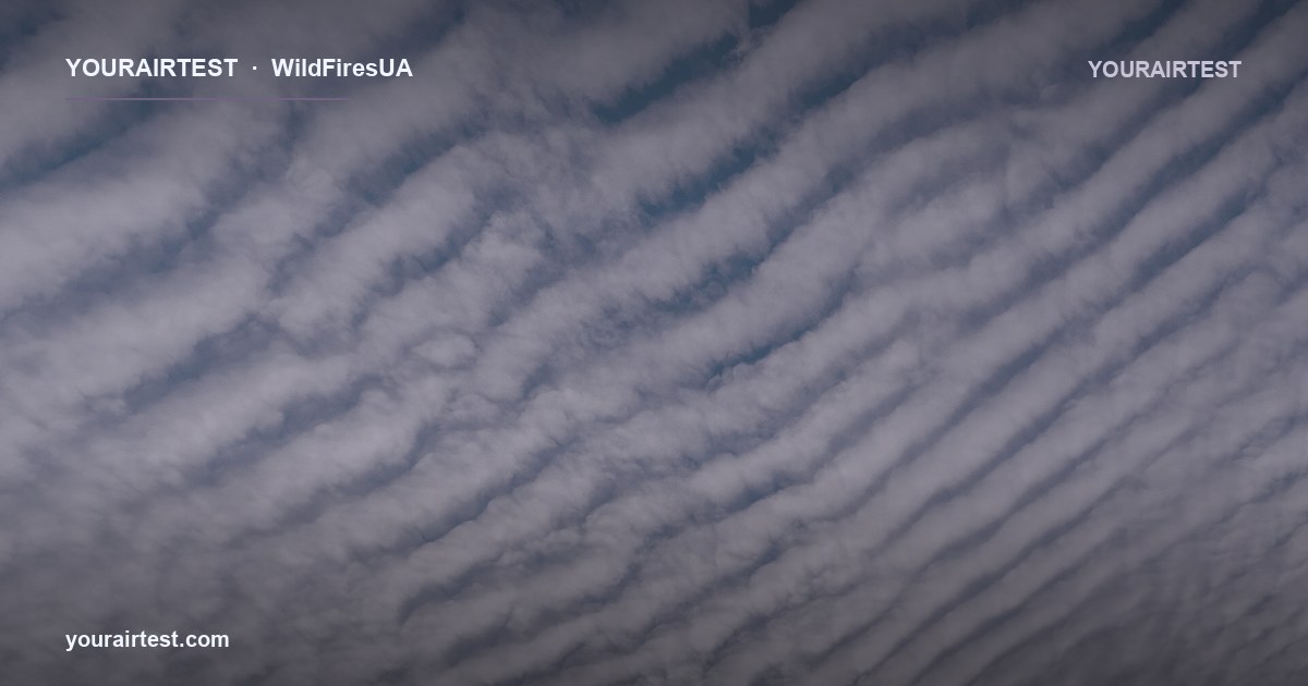 Прототип працює: перші карти радіаційного прогнозу для 5 АЕС України