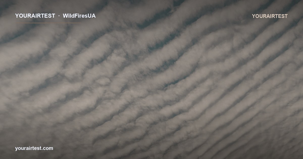 Валідація метеопрогнозу YAT-Meteo у Франції: польова кампанія у затоці Віссан, 16-17 червня 2022