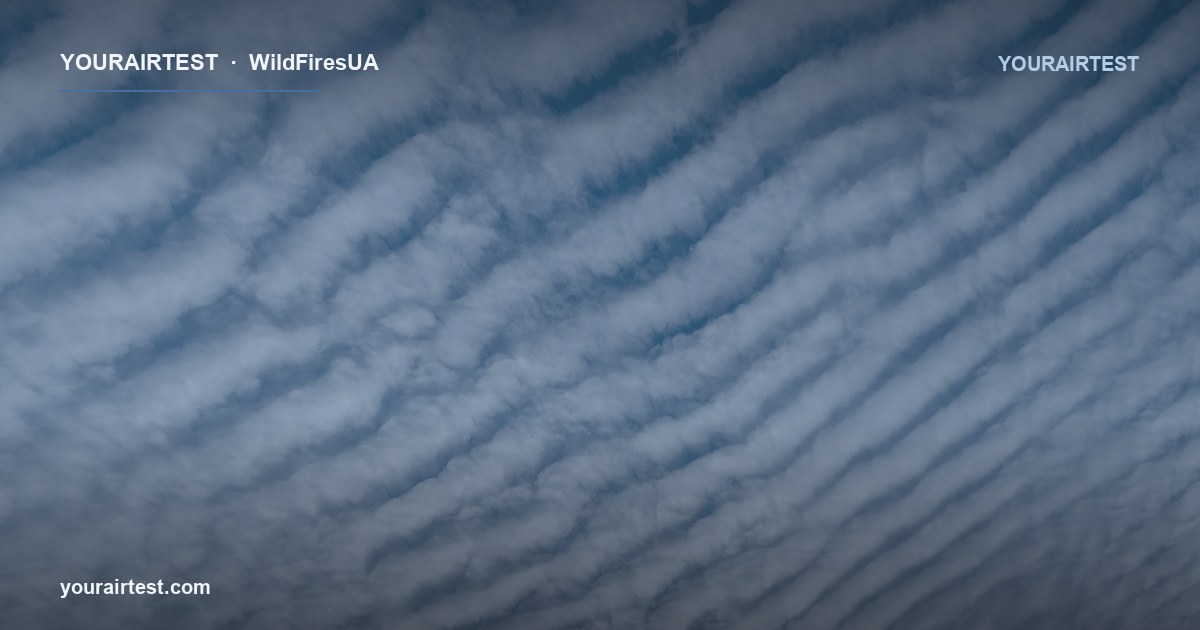 Мікропластики у повітрі: нові дані 2020-2024