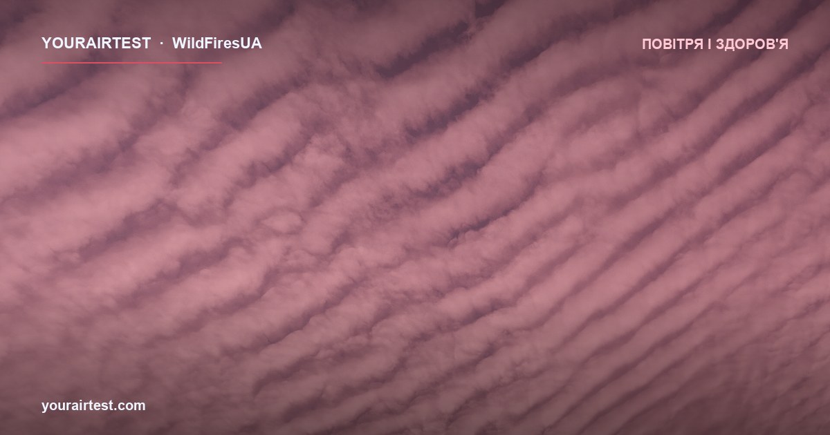 Аутизм і пренатальна експозиція до забруднення: що кажуть дослідження 2014-2024